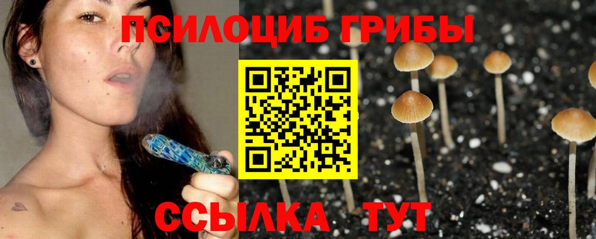 Алексеевка  Псилоцибиновые грибы Magic Shrooms  Вход с VPN  Псилоцибиновые грибы Psilocybe 