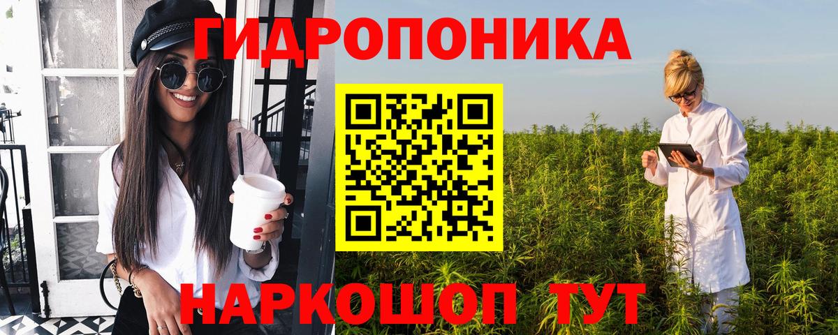 Алексеевка  Шишки марихуана VHQ  Конопля сатива  Вход с VPN 